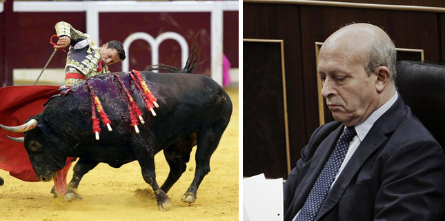 Toros y Wert